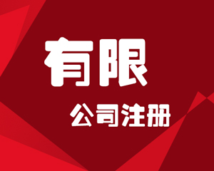 有限公司注册